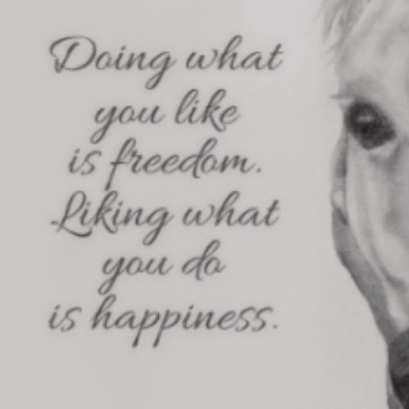 🐴 Horse drawing quote message Art Poster Print A4 Signed by artist - Picture 2 of 2